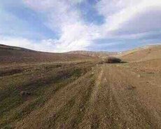 1732 sot torpaq sahəsi, Qobustan rayonu